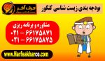 بودجه بندی زیست کنکور